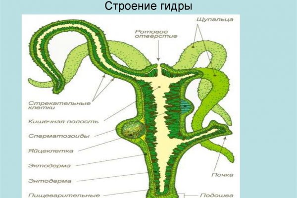 Код аккаунта blacksprut как узнать