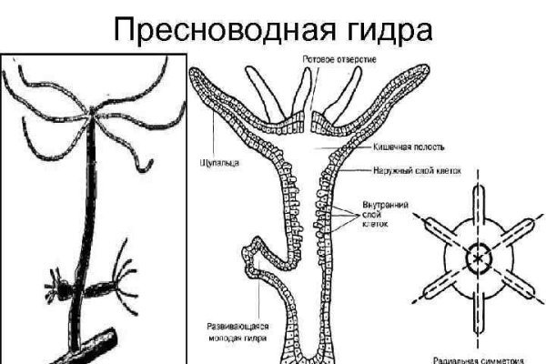 Блэкспрут сайт